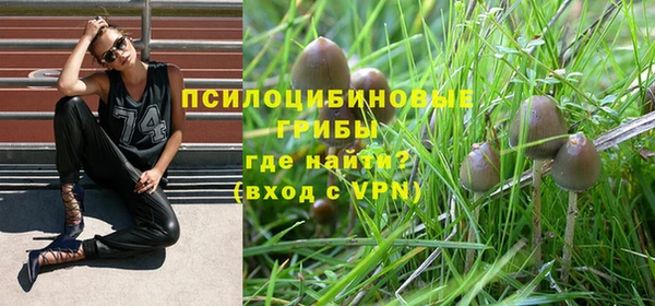 2c-b Арсеньев